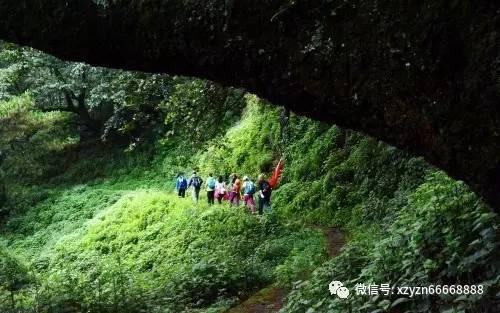 简便计算72000÷3600？游戏画面
